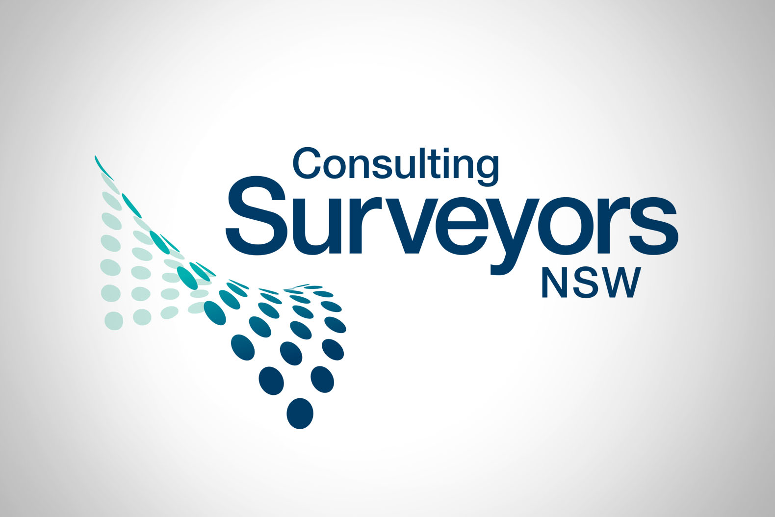 consultingsurveyorslogo2